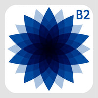 Oxford Test of English Practice Tests Pack B2